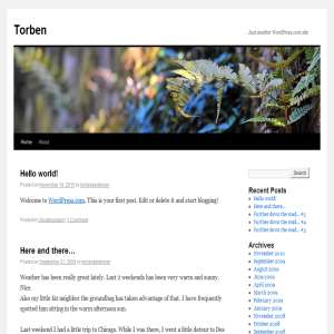 Torben - thoughts & experiences